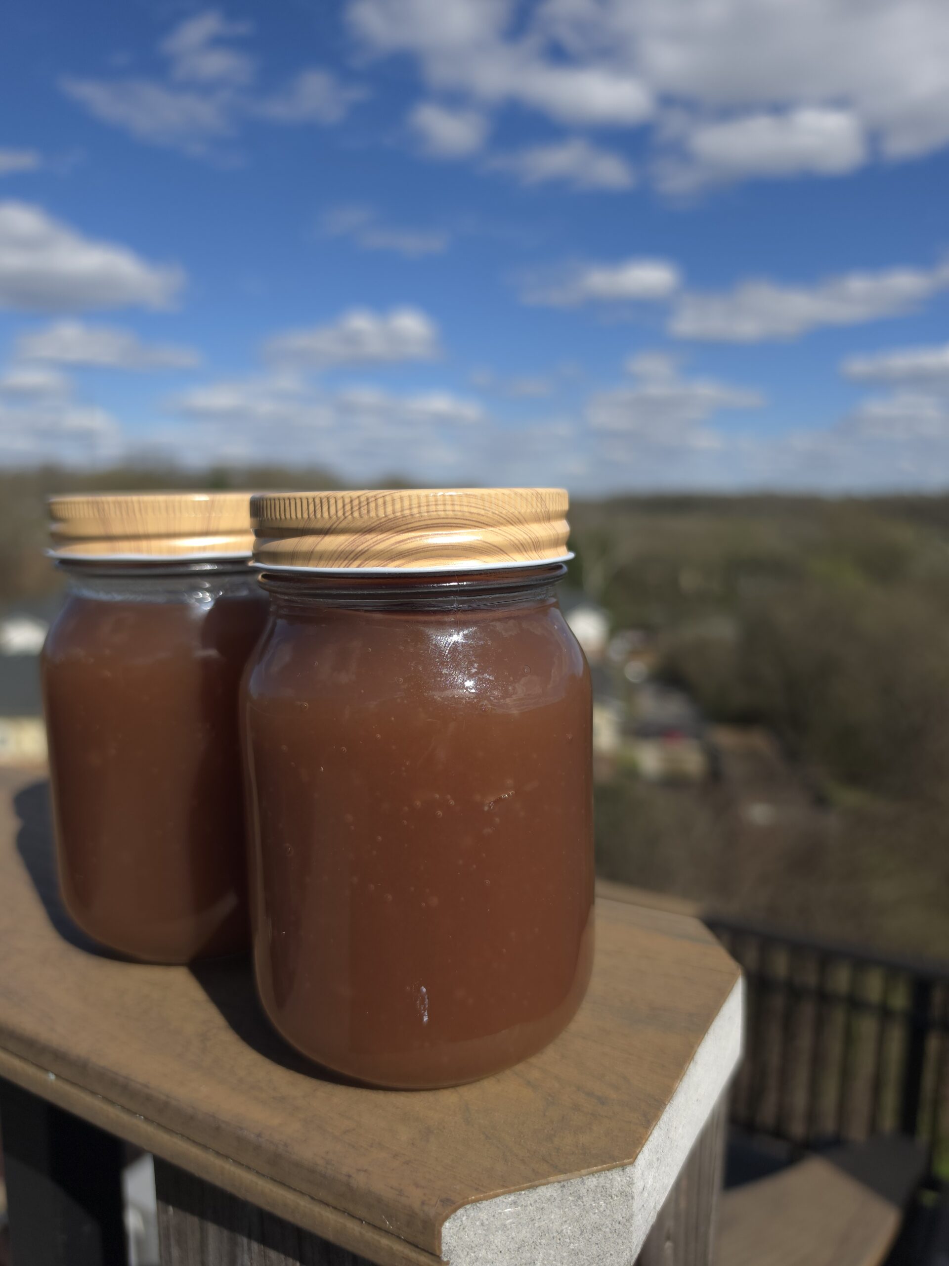 Elderberry Sea Moss